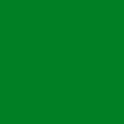 Вініл - глянцевий - колір Трав'яний зелений - 20*25 см
