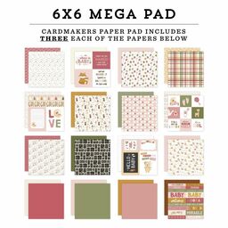 Echo Park - Special Delivery Baby Girl Collection - Double-Sided Paper Pad - 1/3 (16 листів) набору паперу 15x15 см