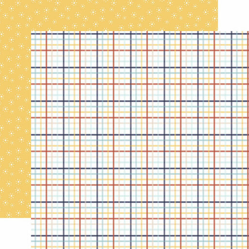Echo Park - Baby On Board Boy Collection - Double-Sided Cardstock - Sweet Boy Plaid - папір 30x30 см