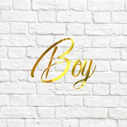 Boy - вырубка из термотрансферной пленки - зеркальное золото
