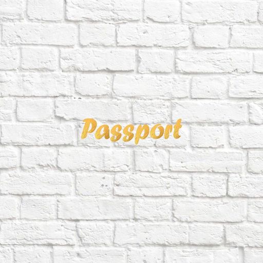 х-Passport - 2 - вирубка із термотрансферної плівкии - foil золото