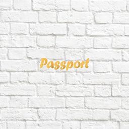 х-Passport - 2 - вирубка із термотрансферної плівкии - foil золото