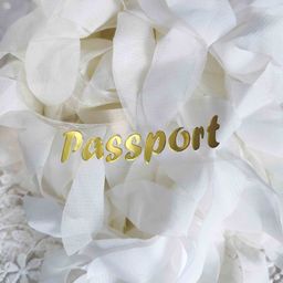 х-Passport - 2 - вирубка із термотрансферної плівки - зеркальне жовте золото