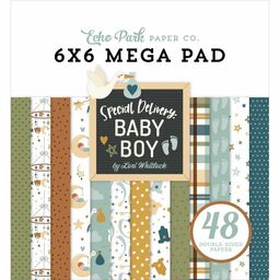 Echo Park - Special Delivery Baby Boy Collection - Double-Sided Paper Pad - 1/3 (16 листів) набору паперу 15x15 см