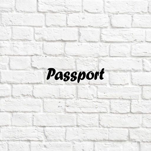 х-Passport - 2 - вырубка из термотрансферной пленки - матовая черная