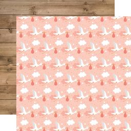 Echo Park - Baby Girl Collection - Double-Sided Cardstock - Little One - папір 30x30 см